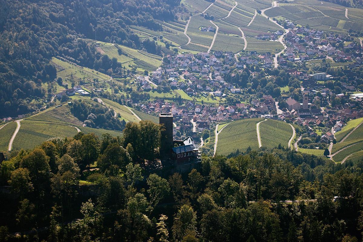 Ausblick von der Yburg