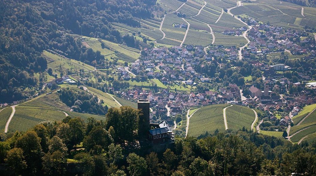 Ausblick von der Yburg