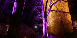 Yburg mit malerischer Nachtbeleuchtung