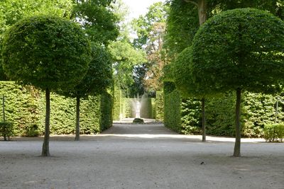 Schloss und Schlossgarten Schwetzingen, Boskette; Foto: Staatliche Schlösser und Gärten Baden-Württemberg, Henrike von Werder